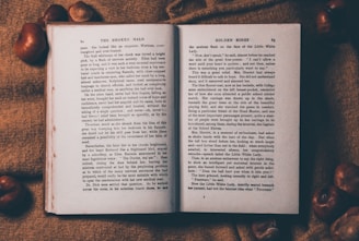 opened book