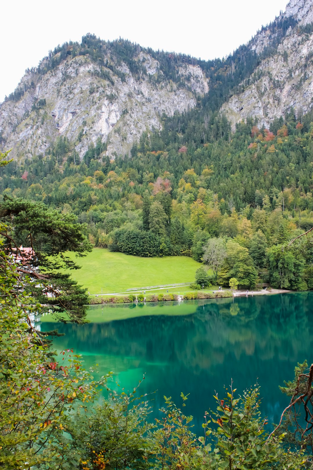 Nature reserve photo spot Forggensee Alpsee