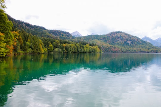 calm body of water in Forggensee Germany