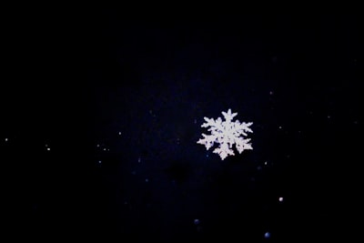 white snowflakes snowflake zoom background