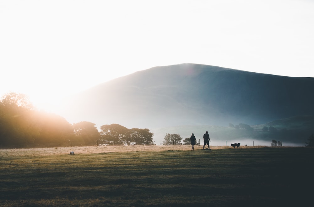 silhouette of man walking on grass field