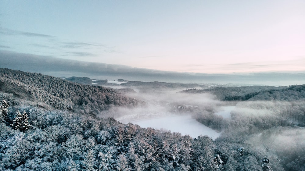 aerial photography of body of water