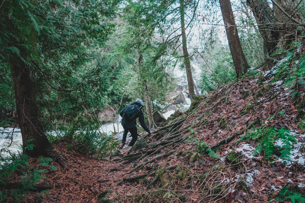 view photography of person walking in middle of forest