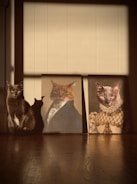 A real cat sits calmly next to two portraits of cats dressed in historical attire. The first portrait shows a cat in a suit and tie, while the second depicts a cat in an elaborate gown. Sunlight casts dramatic shadows across the floor and wall, enhancing the warm tones of the scene.