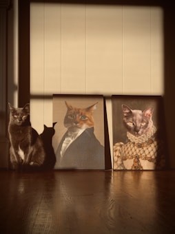 A real cat sits calmly next to two portraits of cats dressed in historical attire. The first portrait shows a cat in a suit and tie, while the second depicts a cat in an elaborate gown. Sunlight casts dramatic shadows across the floor and wall, enhancing the warm tones of the scene.