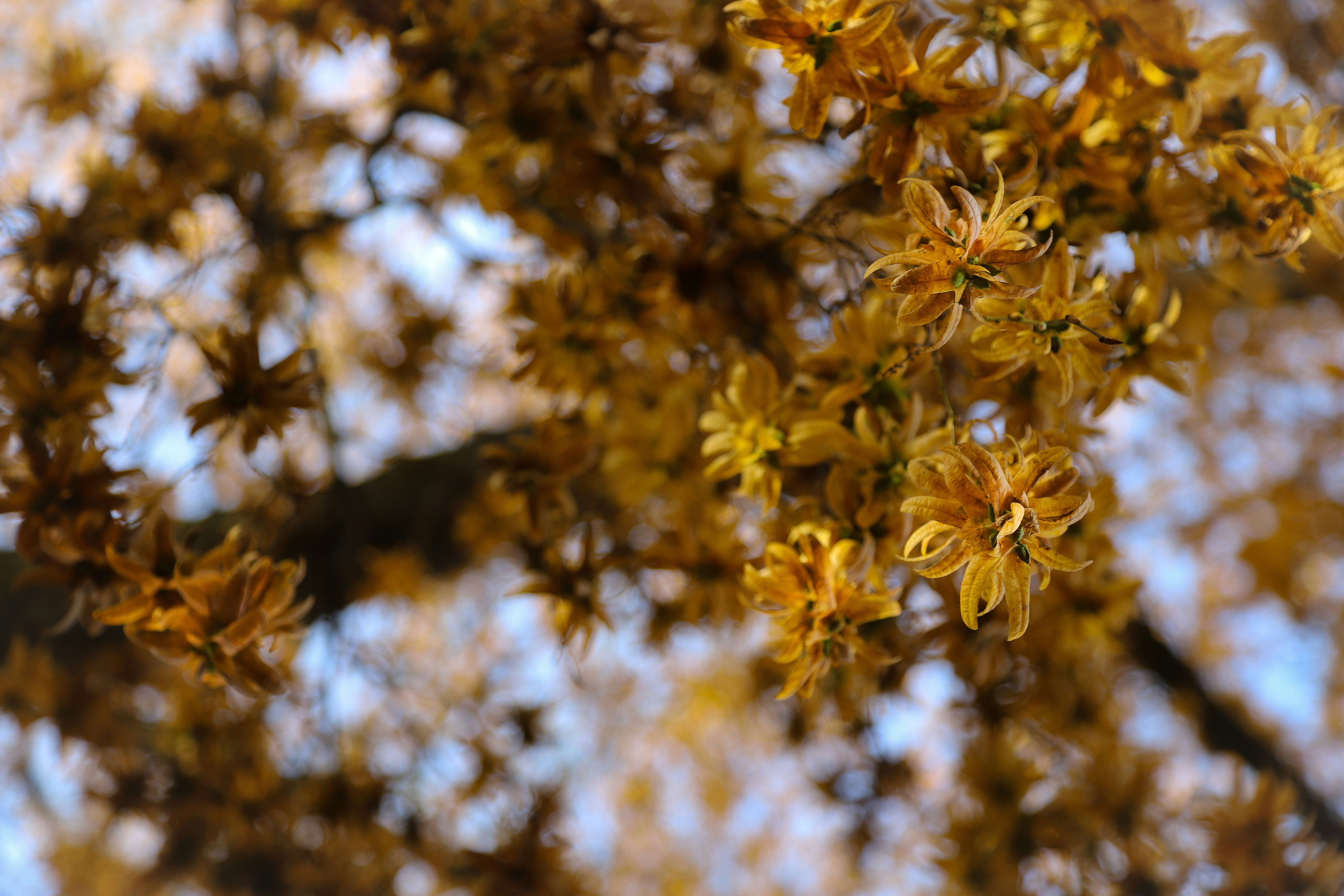 Photo by outimarjaana