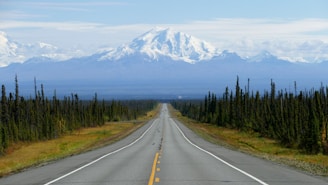 empty road