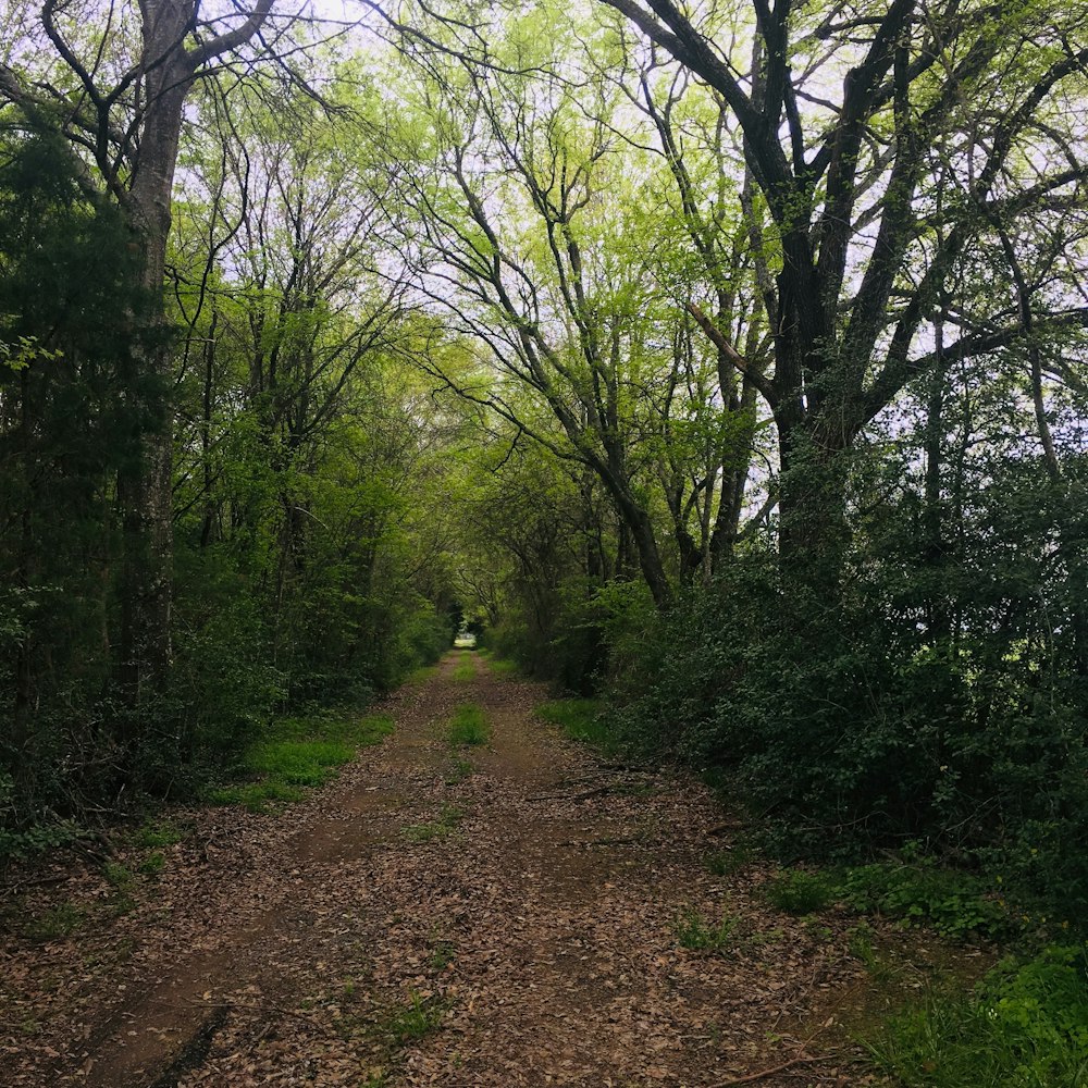 empty pathway