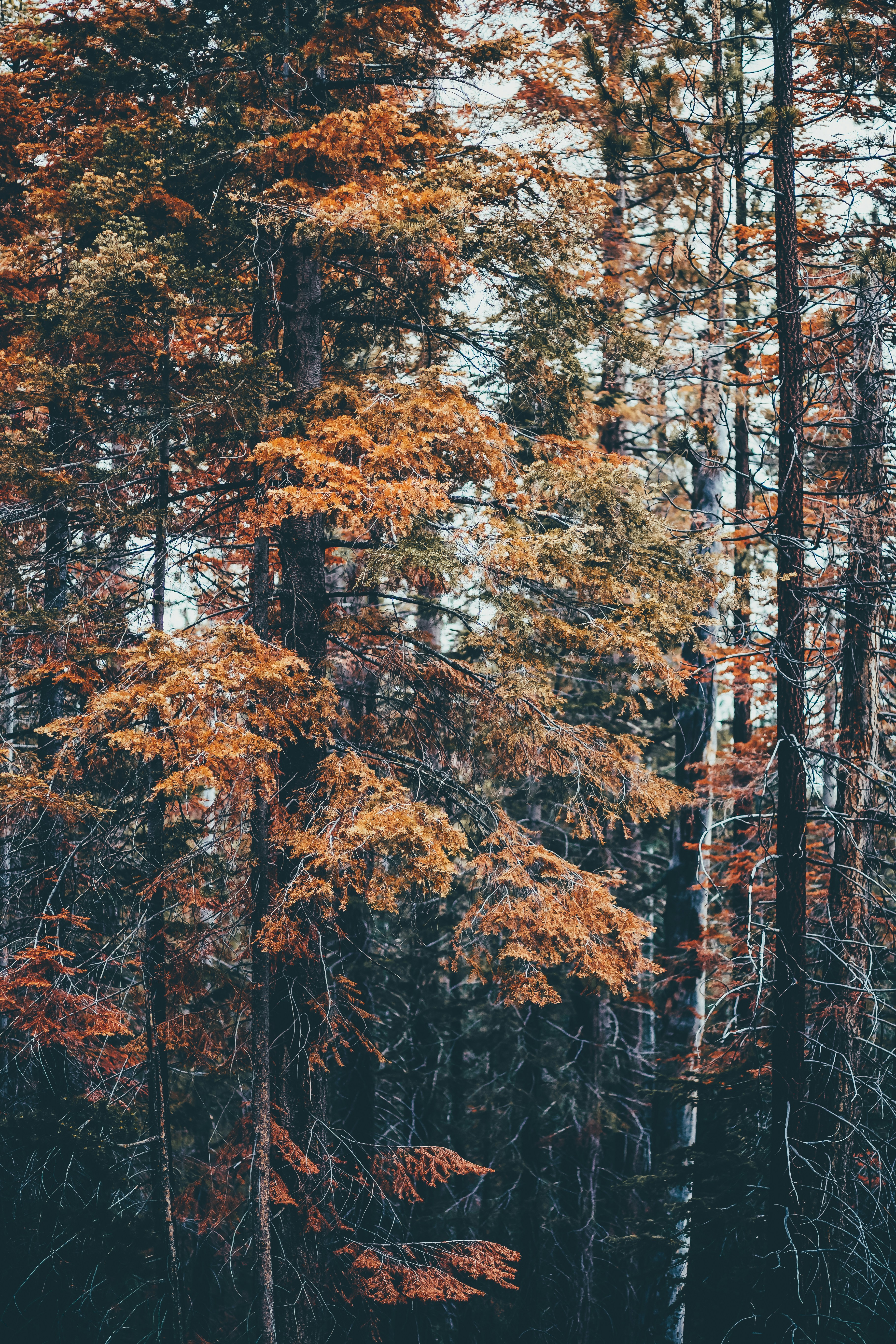 Photo by sixteenmilesout