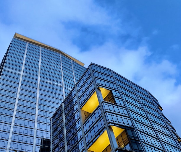 blue concrete building