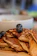 Close-up of a stack of fluffy blueberry pancakes topped with fresh blueberries and a drizzle of syrup.