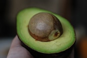 green alligator pear