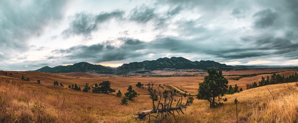 grass field near mountain