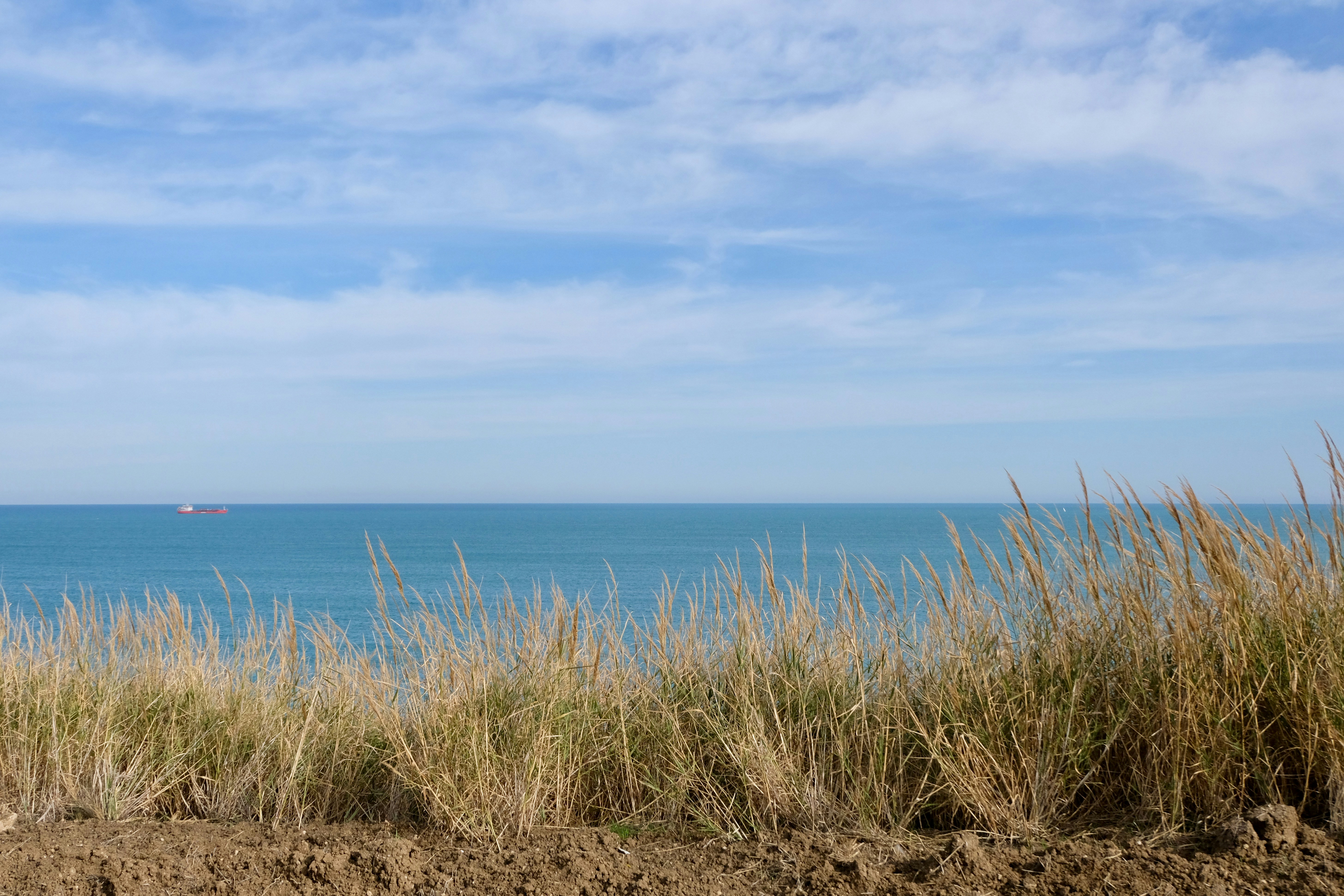 green grass near body of water, 