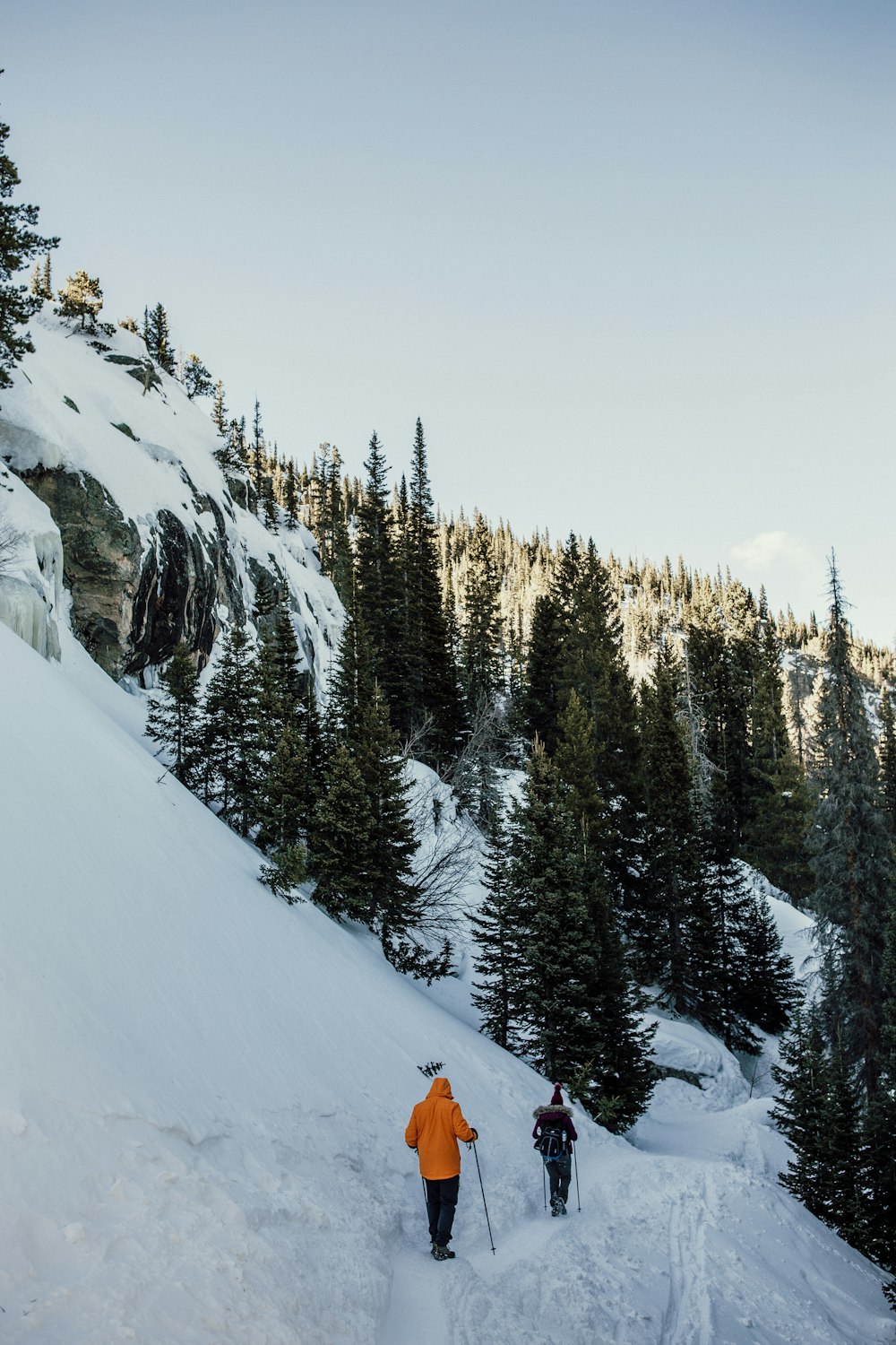 mountain covered with snow