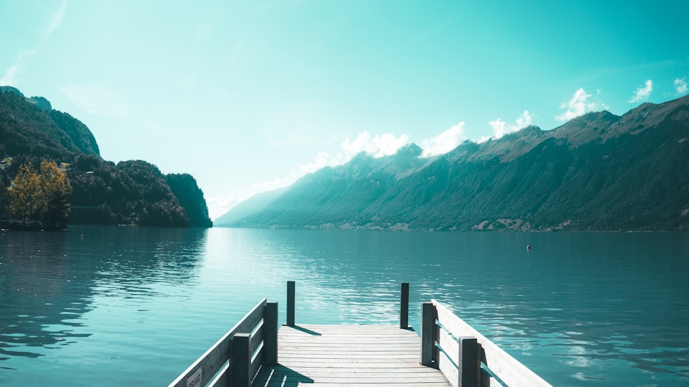 photo of brown wooden boardwalk