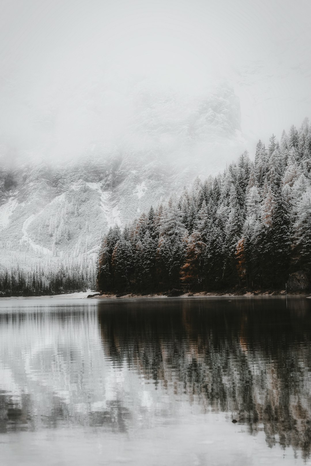 body of water during daytime