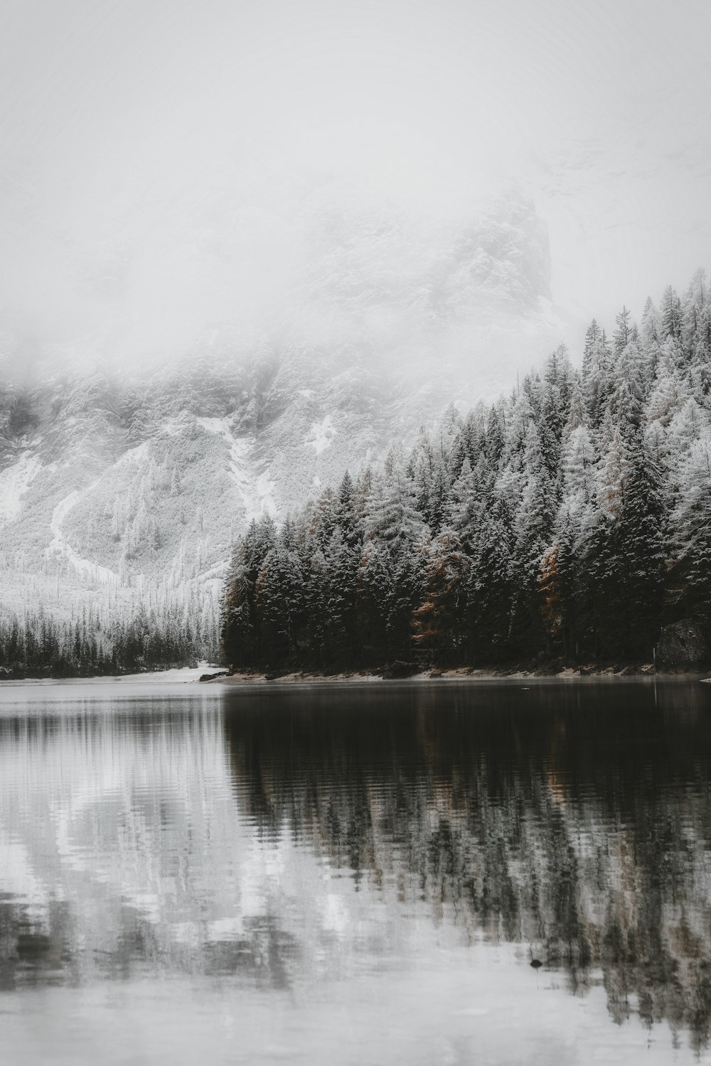 body of water during daytime