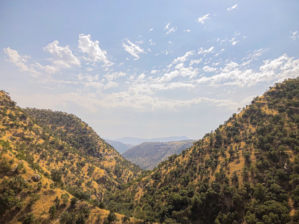 green and brown mountain