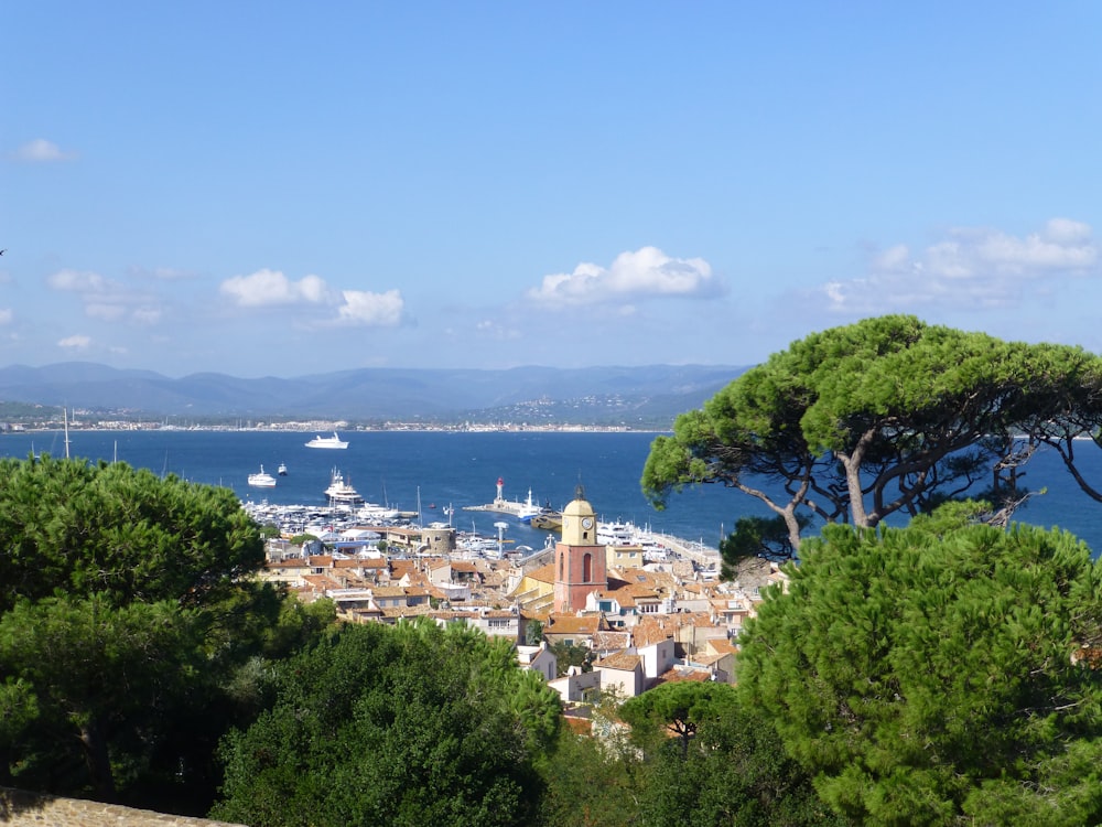 green trees and brown city view