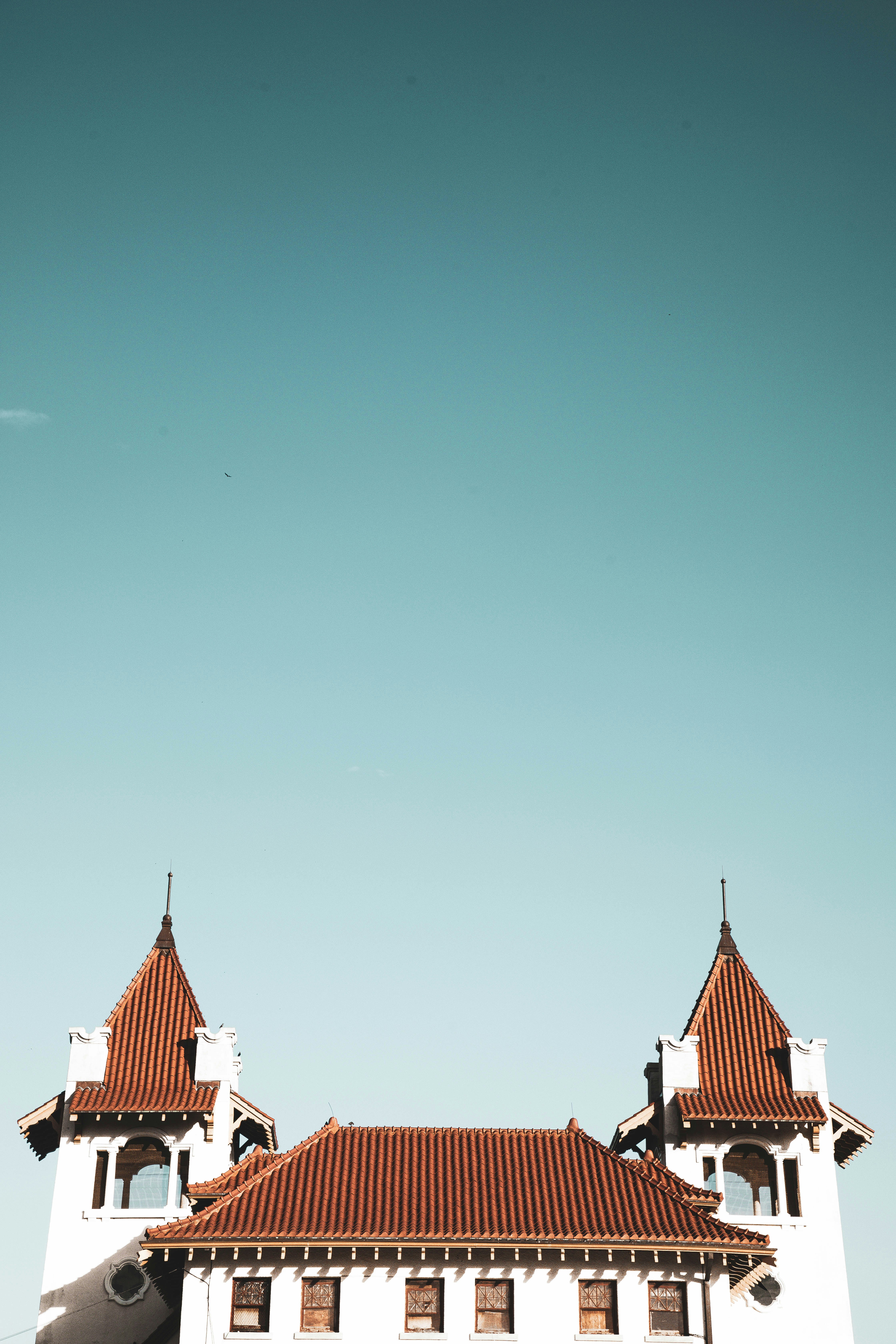 Photo by davidgaviphoto