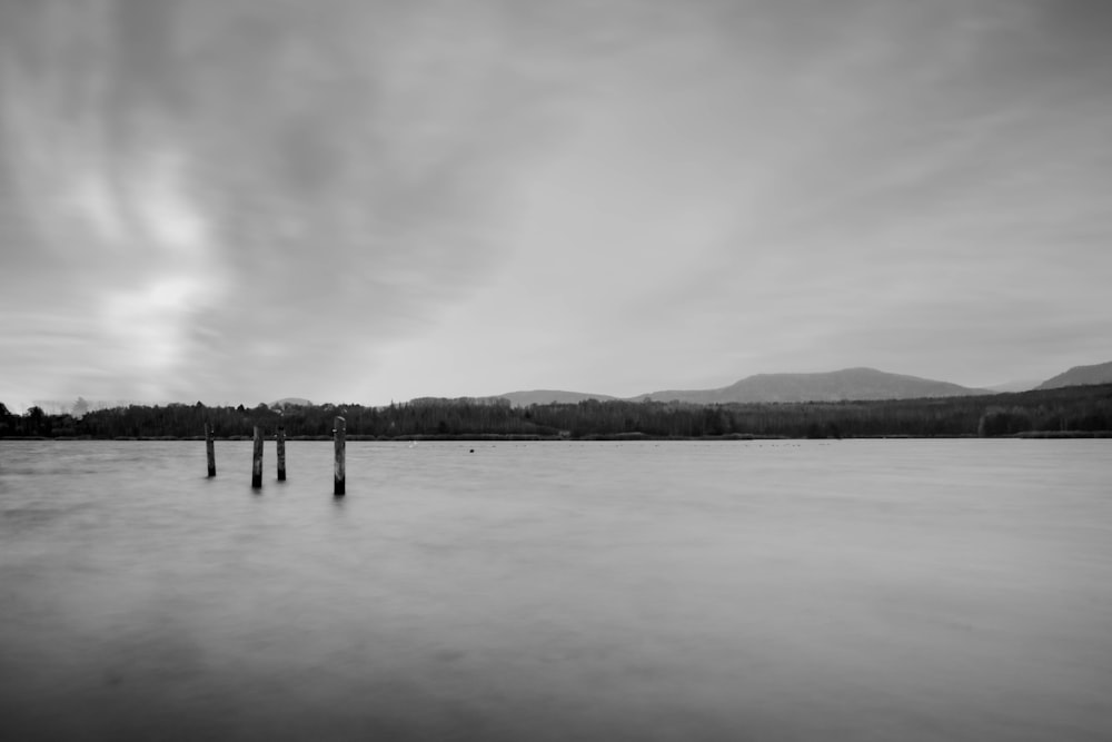 greyscale photo of body of water