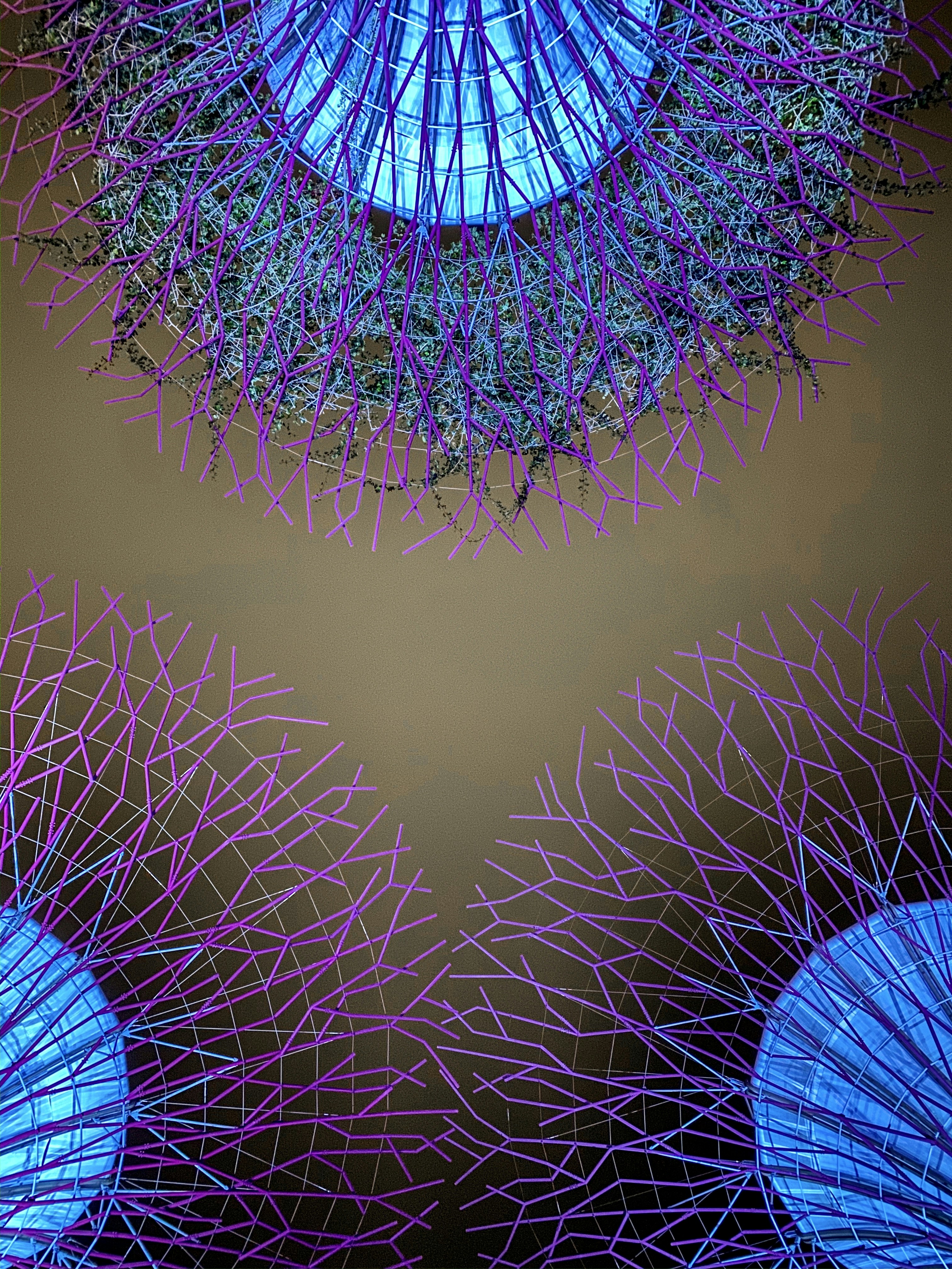 Photo by animishgautam