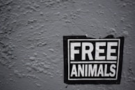 A sign with the bold text 'FREE ANIMALS' is affixed to a rough, textured wall. The sign is black with white lettering and appears to be slightly worn, suggesting it has been there for some time.
