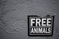 A sign with the bold text 'FREE ANIMALS' is affixed to a rough, textured wall. The sign is black with white lettering and appears to be slightly worn, suggesting it has been there for some time.