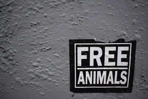 A sign with the bold text 'FREE ANIMALS' is affixed to a rough, textured wall. The sign is black with white lettering and appears to be slightly worn, suggesting it has been there for some time.