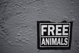 A sign with the bold text 'FREE ANIMALS' is affixed to a rough, textured wall. The sign is black with white lettering and appears to be slightly worn, suggesting it has been there for some time.