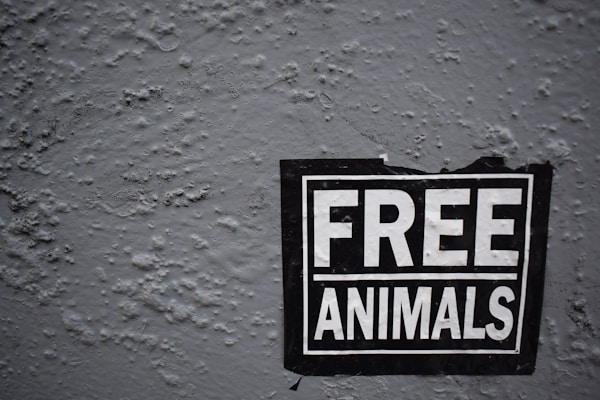 A sign with the bold text 'FREE ANIMALS' is affixed to a rough, textured wall. The sign is black with white lettering and appears to be slightly worn, suggesting it has been there for some time.
