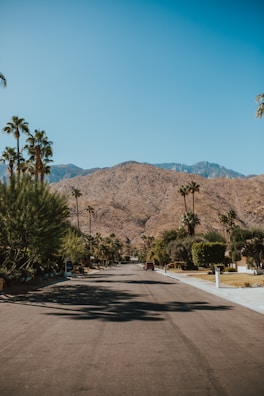 A freshly pressure-washed driveway shining clean, highlighting the contrast with the surrounding desert landscape.