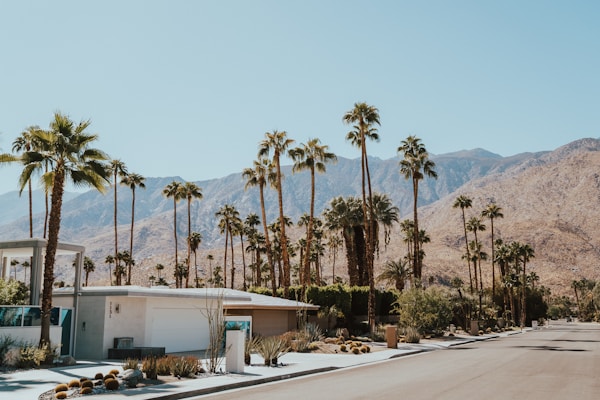 Best Times to Visit Palm Springs: Weather & Seasons Guide
