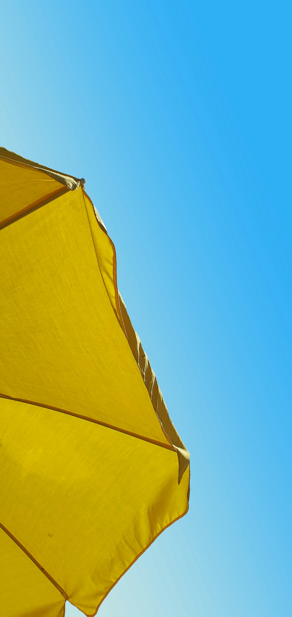 paraguas amarillo