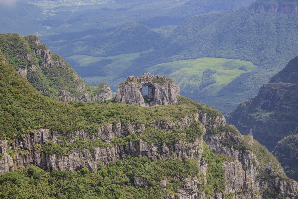 Piante marroni e verdi e montagna rocciosa