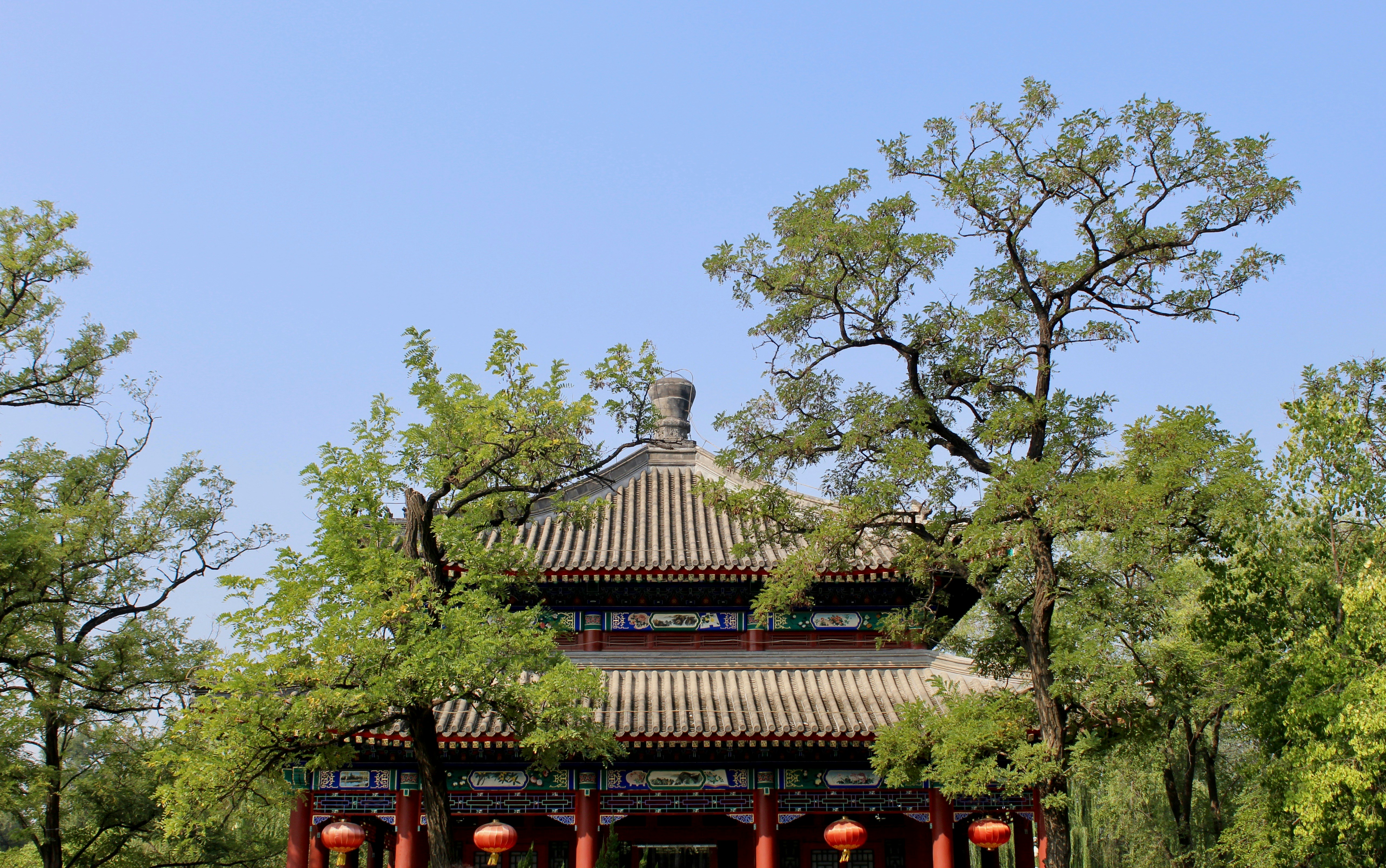 Photo by sophiewrixon