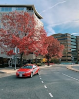 A bright red taxi car is driving on a city street, surrounded by tall buildings. The scene is highlighted by vibrant autumnal trees with red and orange leaves, adding a pop of color against the urban backdrop.