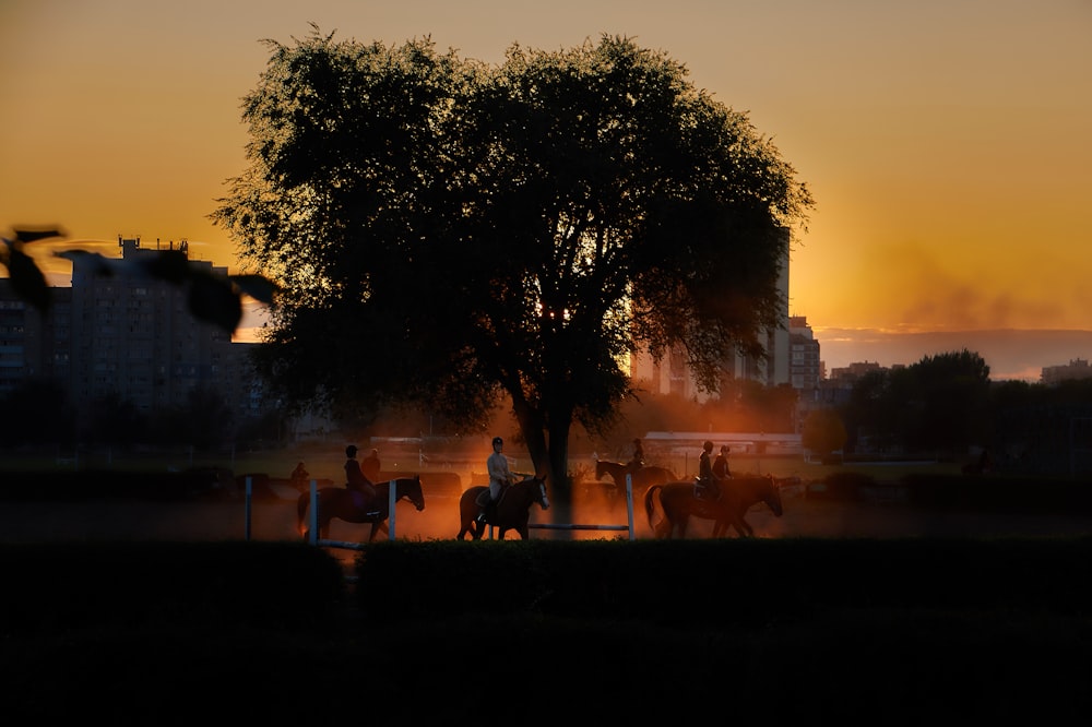 man riding on horse