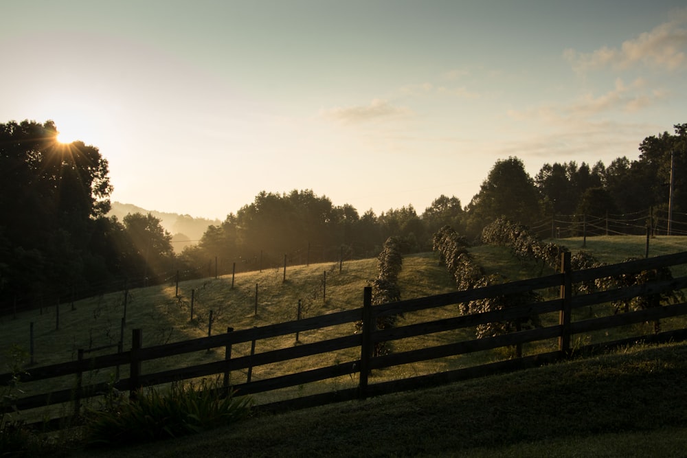 wooden fence on grass field