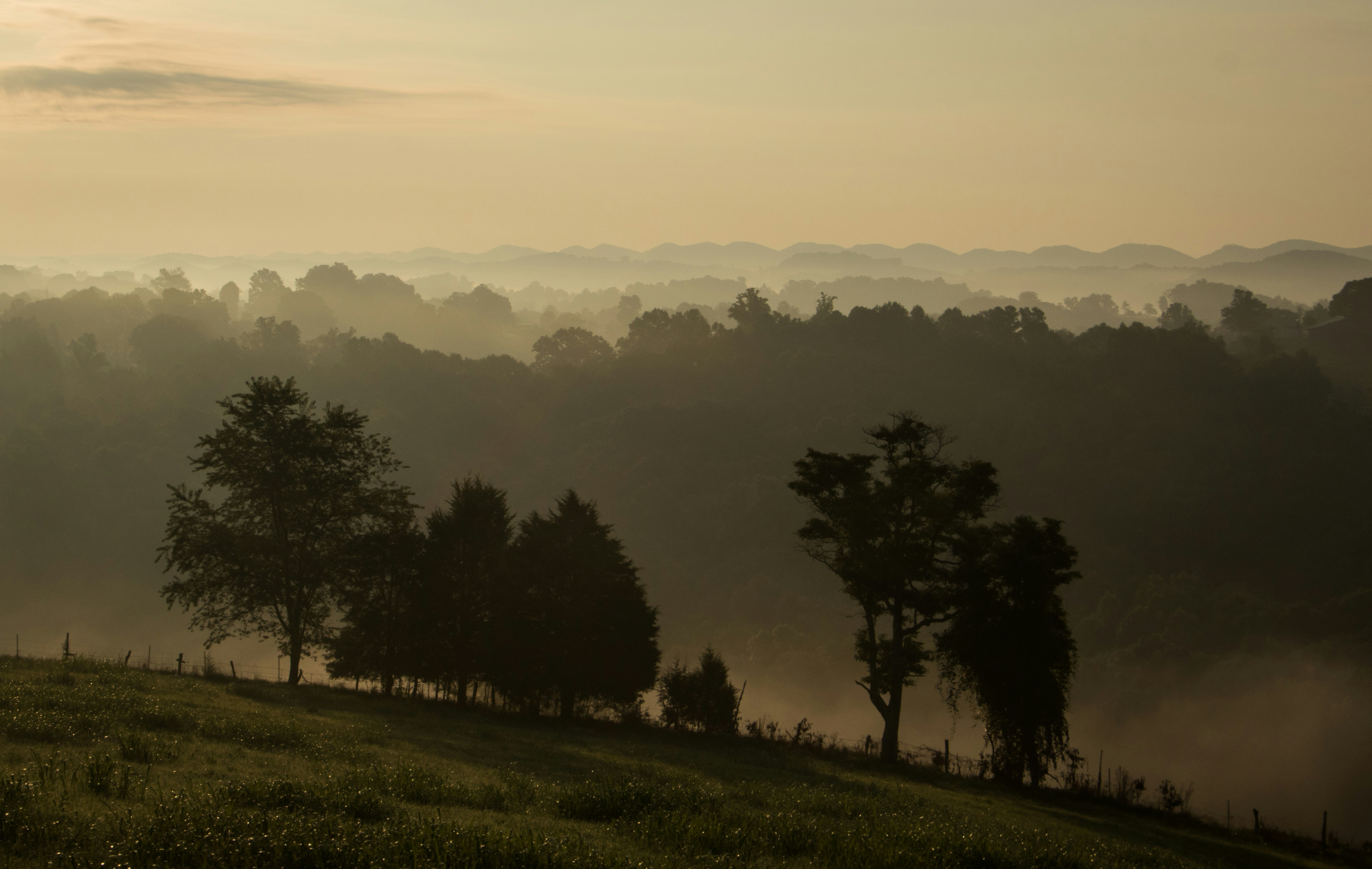 Photo by matthewelancaster