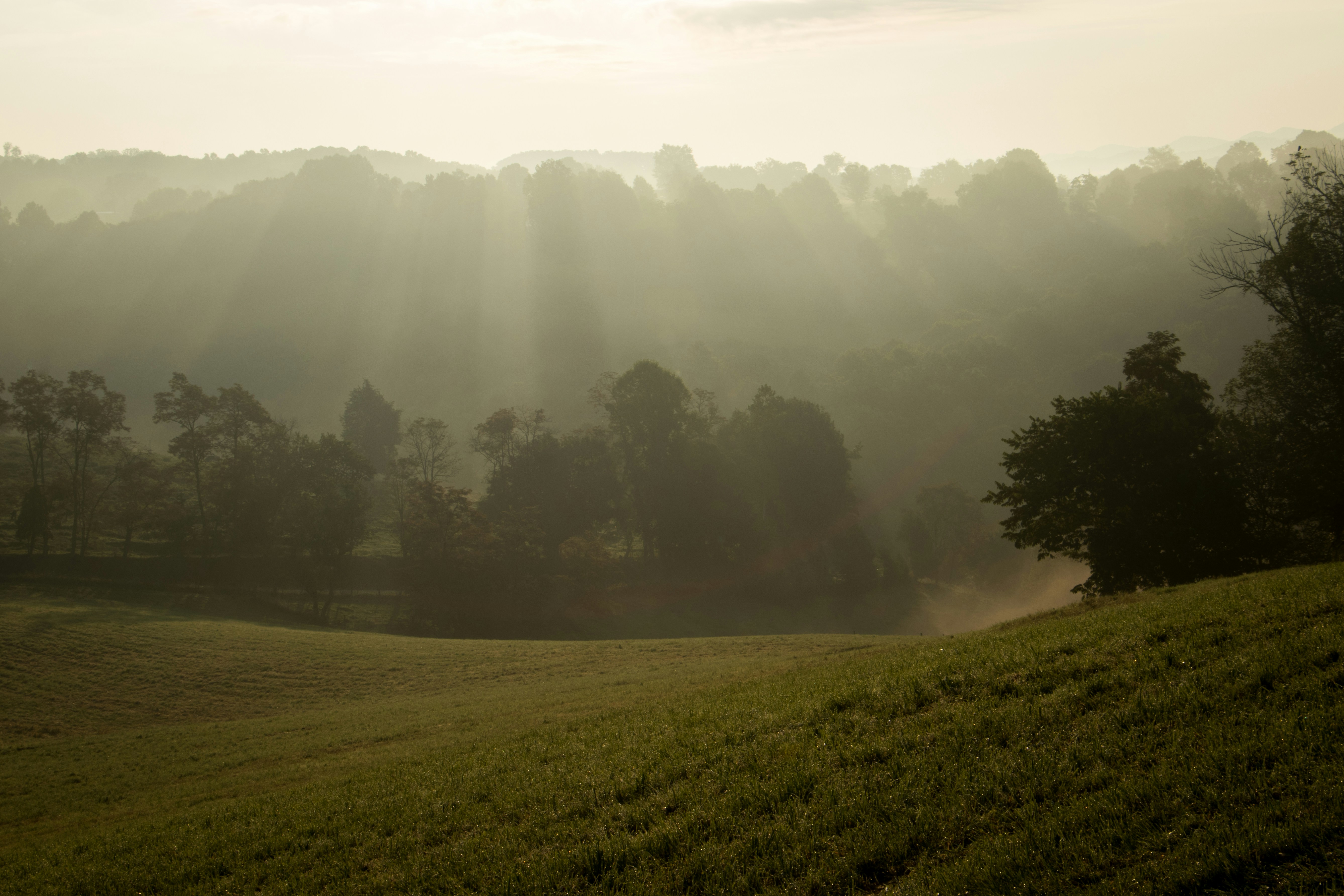 Photo by matthewelancaster