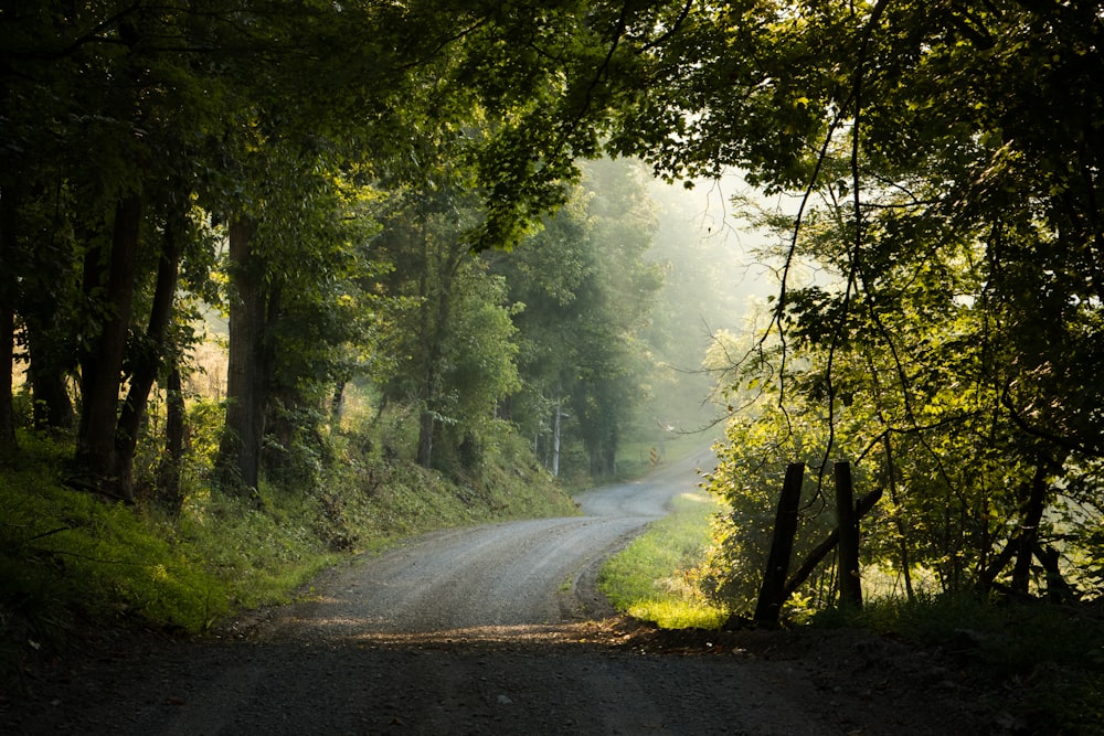 asphalt road scenery