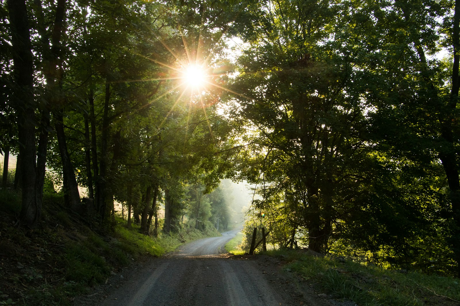 Canon EOS 77D (EOS 9000D / EOS 770D) + Canon EF-S 18-135mm F3.5-5.6 IS STM sample photo. Grass path way scenery photography