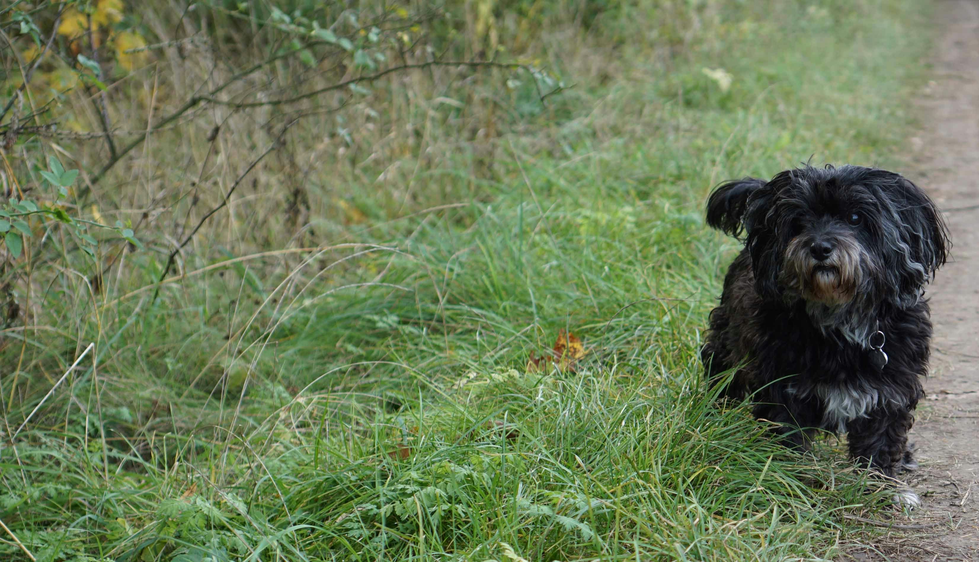 Photo by lukasrudolsky