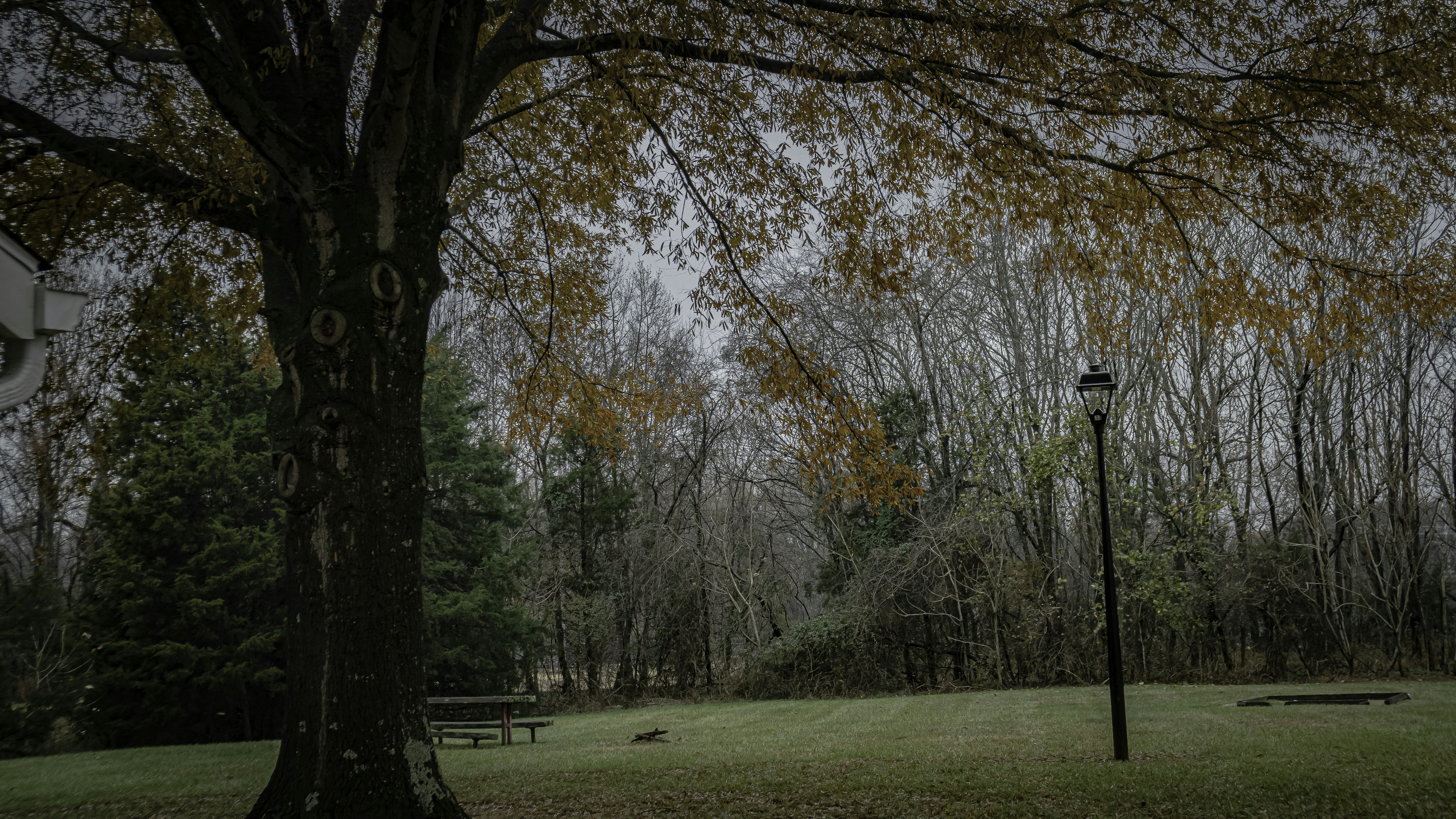 Photo by crystaltubens