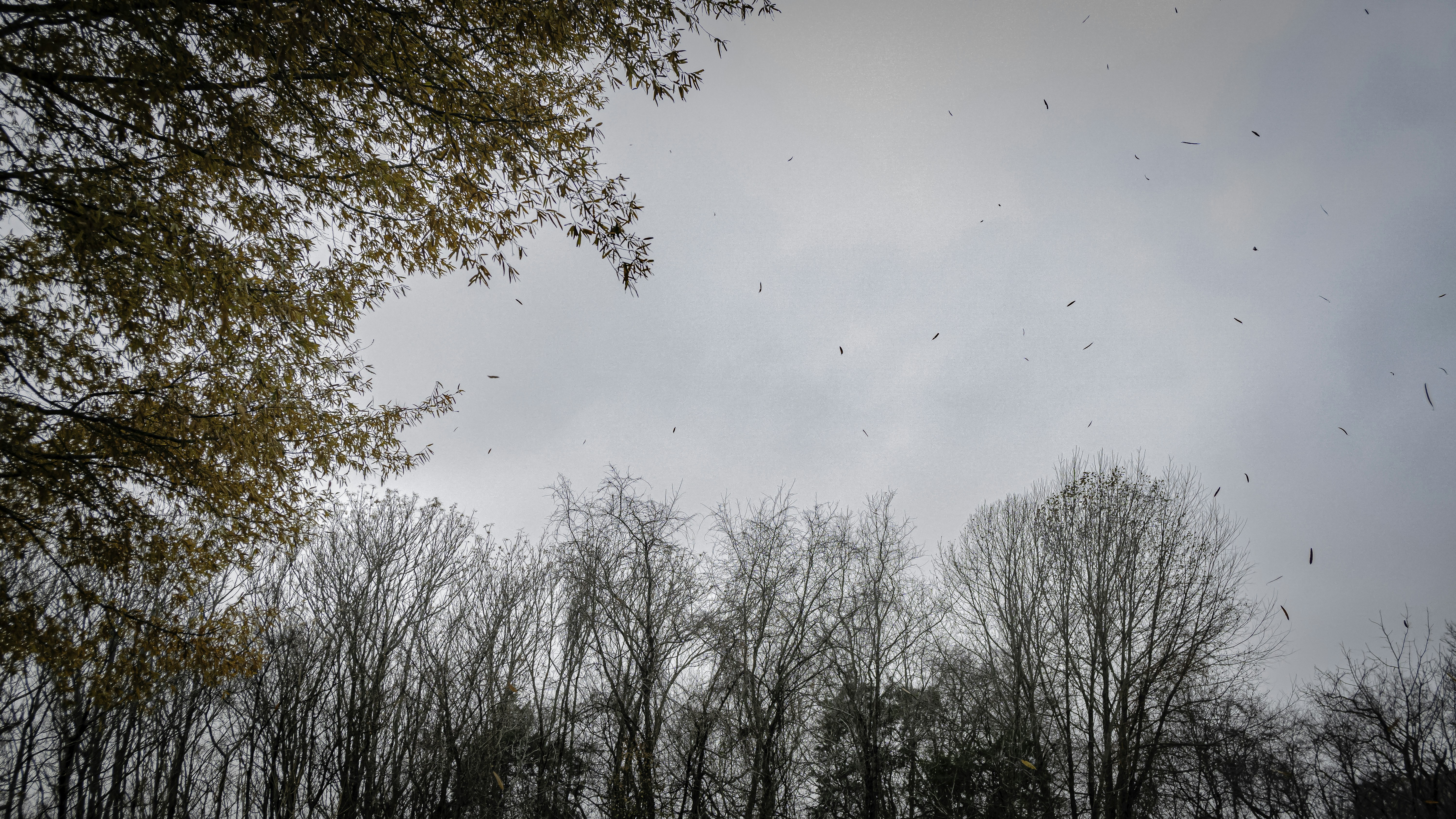 Photo by crystaltubens