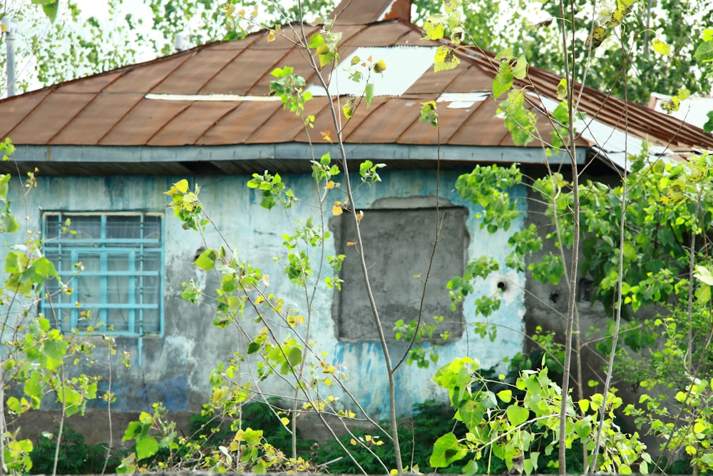 teal painted house