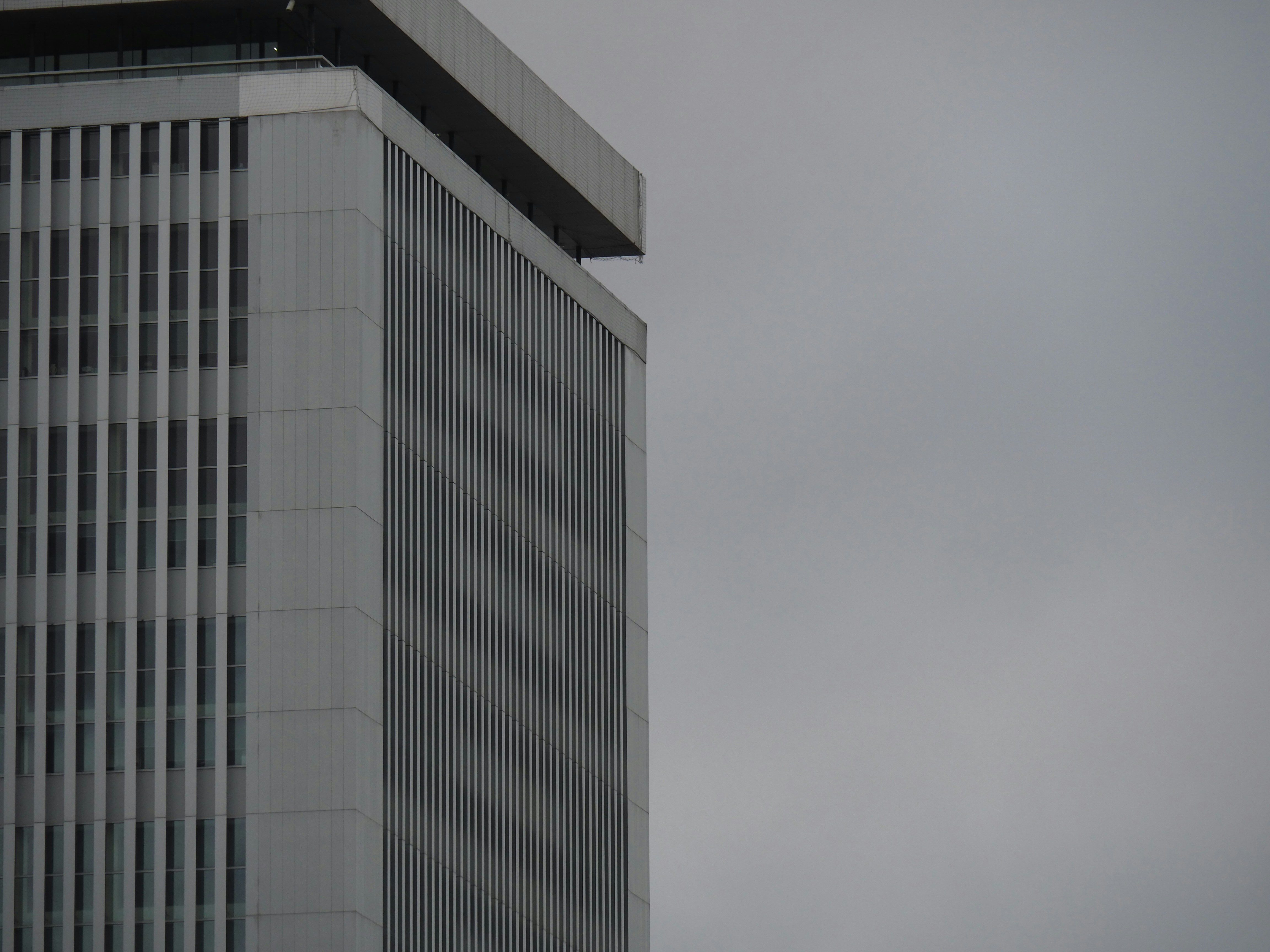 Photo by nimbus_vulpis