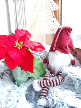 A small gnome figurine with a white beard and red hat sits among fluffy grey and white fabric. The gnome has crossed legs wearing striped red and white socks. Beside it is a bright red poinsettia flower with green leaves. In the background, there is a delicate white ornament shaped like a Christmas tree on a window ledge.